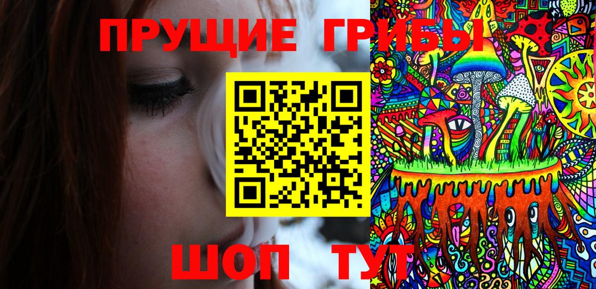 купить   Вход с VPN  Галлюциногенные грибы мицелий  Шахты  Галлюциногенные грибы прущие грибы 